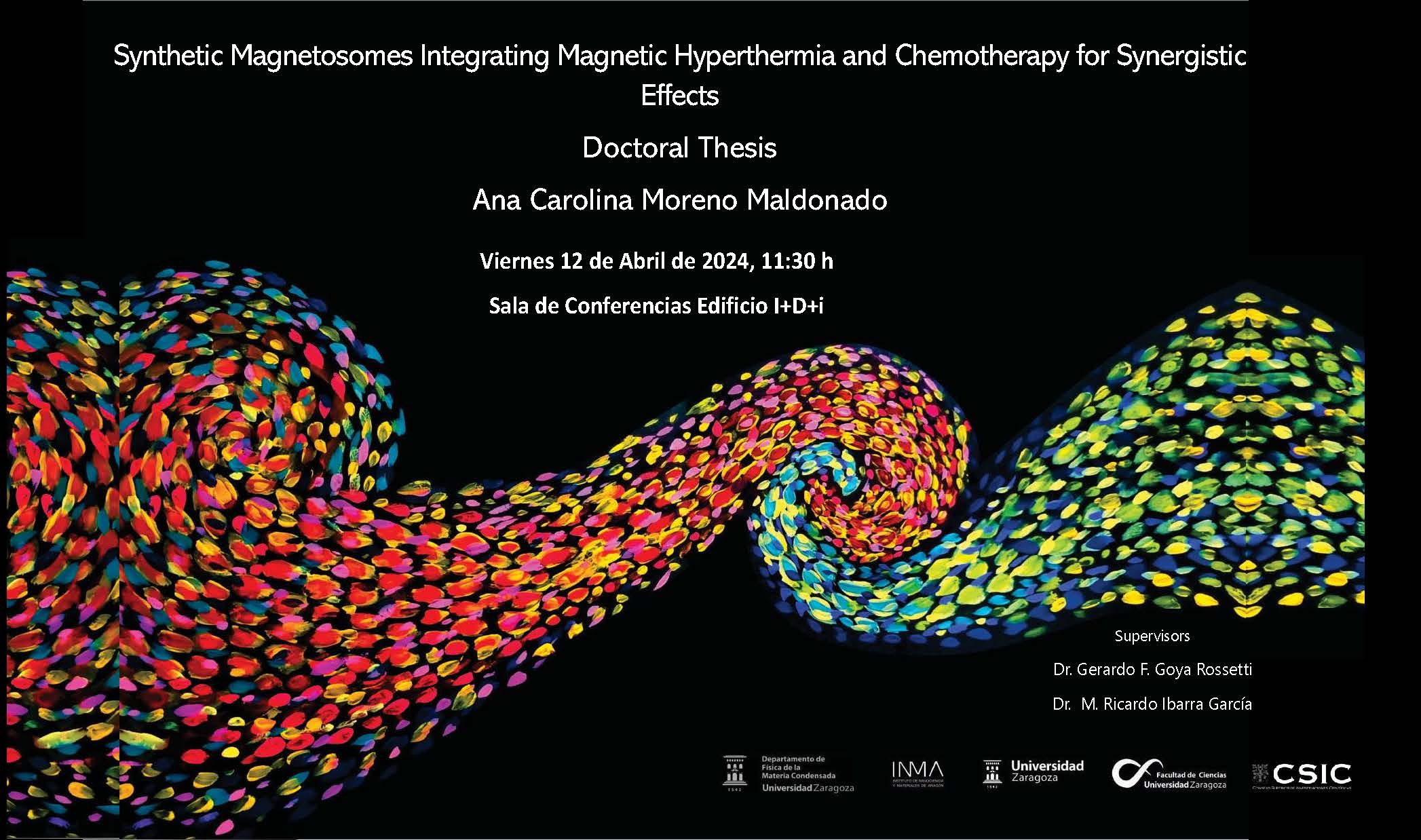 Defensa de tesis doctoral: Ana C. Moreno Maldonado