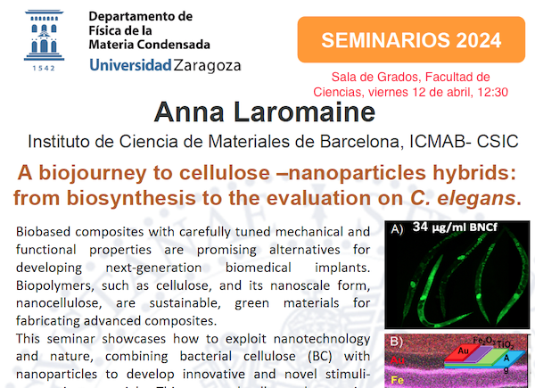 Seminario de Física de la Materia Condensada: Anna Laromaine