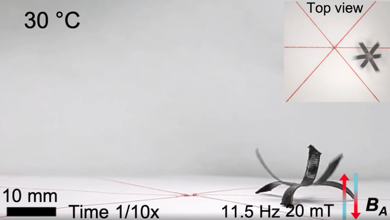 Programming of complex magnetic profiles enforced by 4D printed magnetic LCE actuators