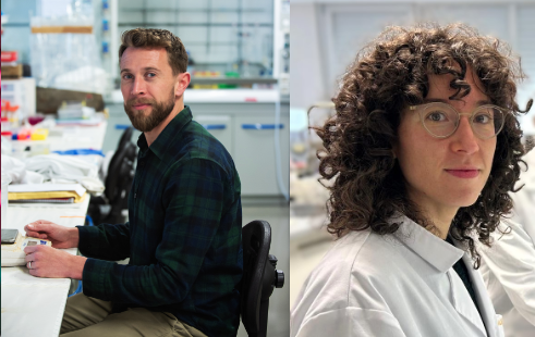 Aragón lidera un proyecto europeo para desarrollar tratamientos naturales que protejan el patrimonio cultural frente al biodeterioro