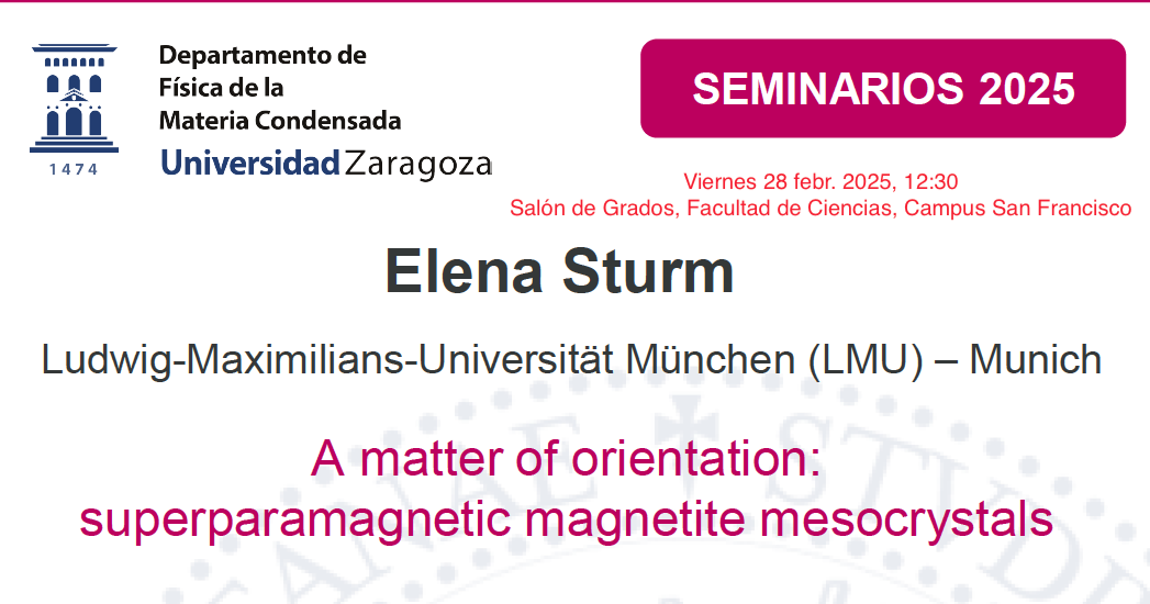Seminario FMC: Elena Sturm