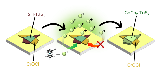 Galvanic intercalation of molecular cations into Van der Waals materials and heterostructures