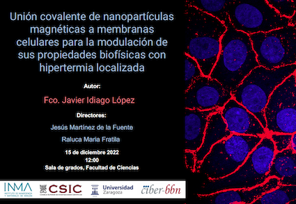 Thesis defence: Javier Idiago