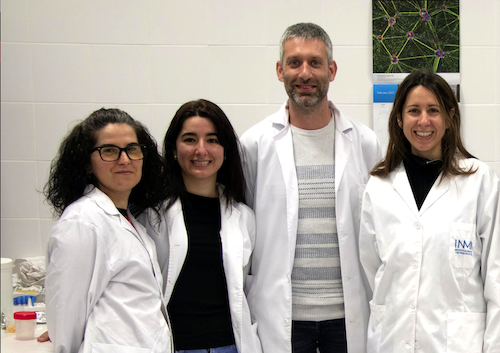 Nuevo avance: activación remota de células con imanes y nanopartículas sin alterar su ADN