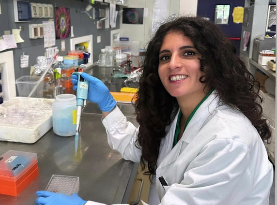 Una nueva estrategia contra el cáncer combina nanopartículas magnéticas y ‘nanomensajeros’ naturales extraídos de plantas