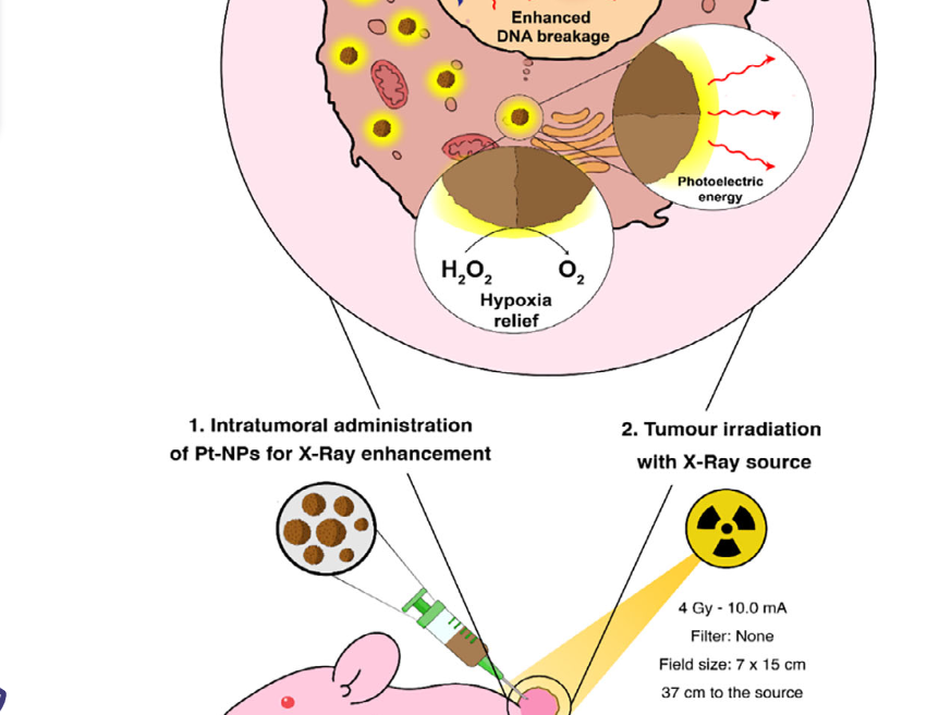 Ultrasmall platinum nanoparticles for radiation-enhanced cancer therapy