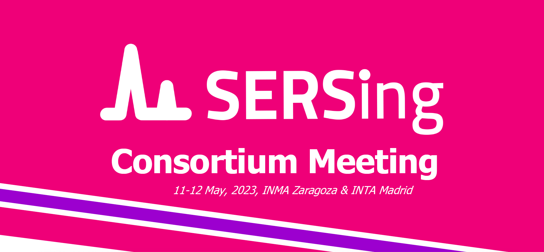 Reunión del consorcio del proyecto europeo SERSING en el Campus Río Ebro