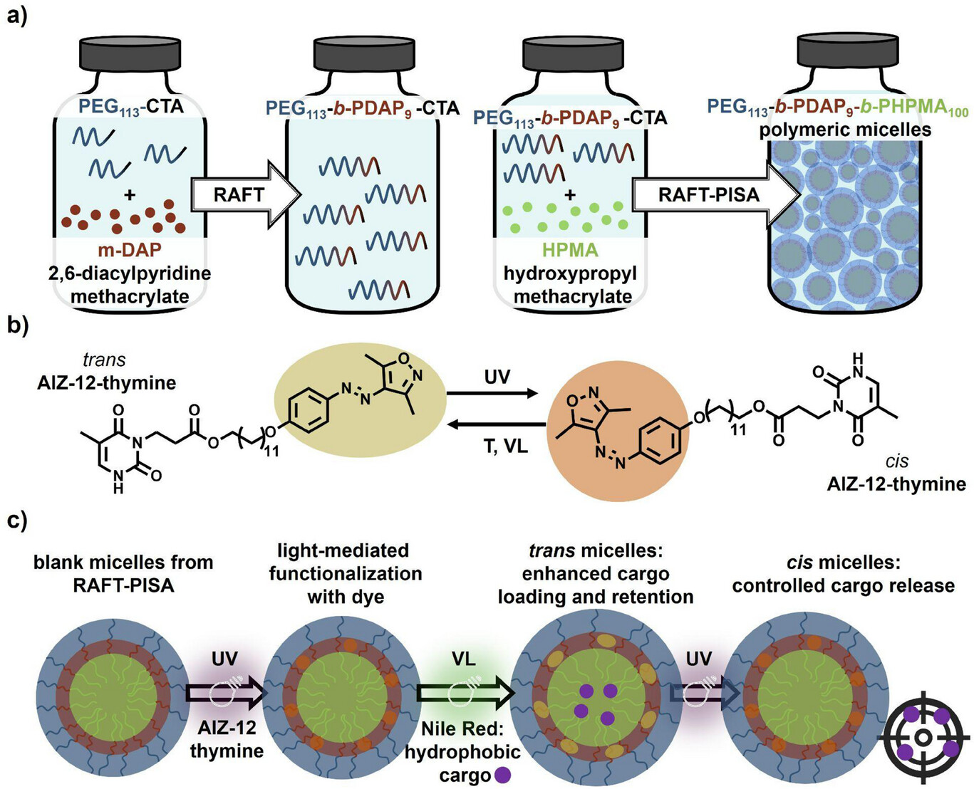 Light-mediated supramolecular functionalization of polymerization-induced self-assembled micelles
