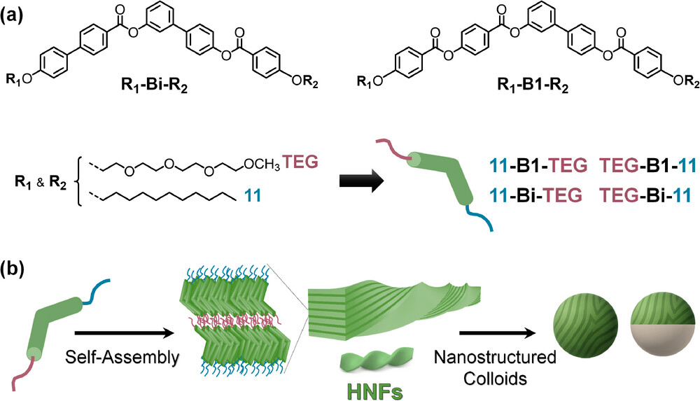 Nuevos microgeles nanoestructurados con morfologías dinámicamente reconfigurables