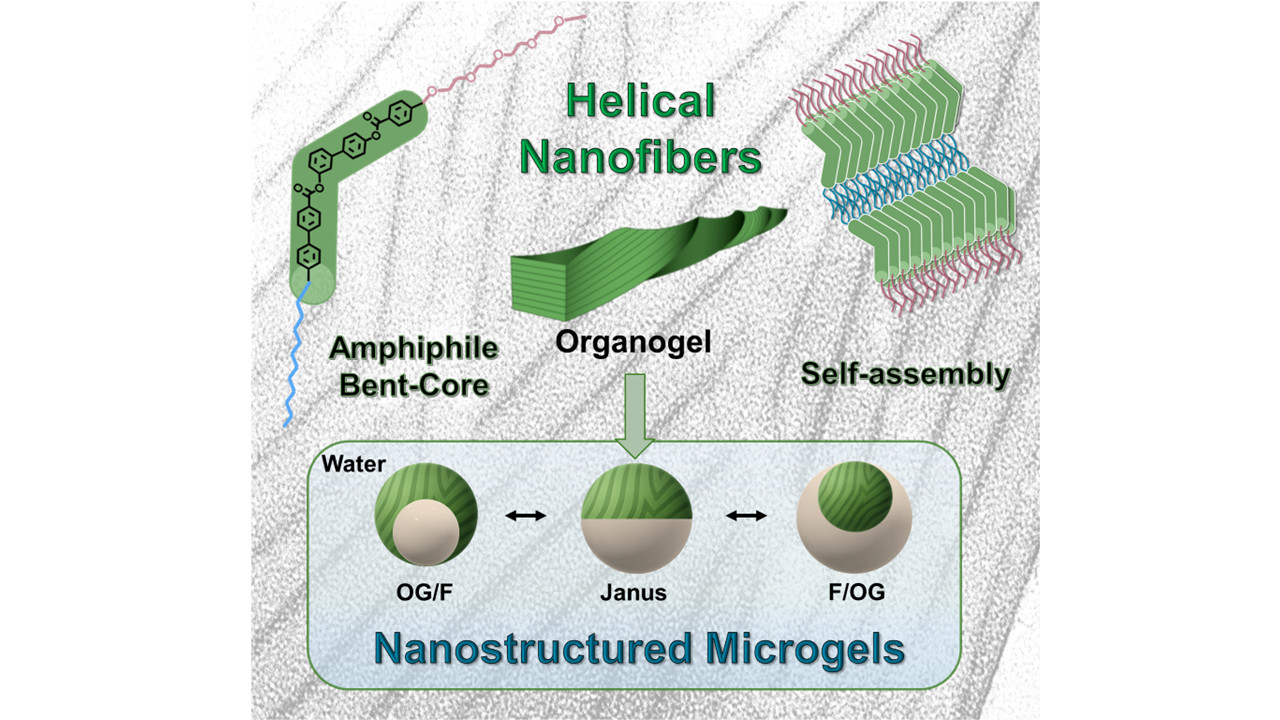 New nanostructured microgels with dynamically reconfigurable morphologies